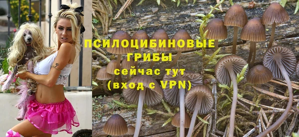 соль курить ск Заводоуковск