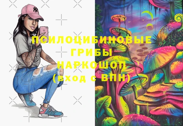 соль курить ск Заводоуковск