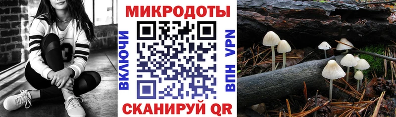 Галлюциногенные грибы GOLDEN TEACHER  Купить закладки  Великие Луки 