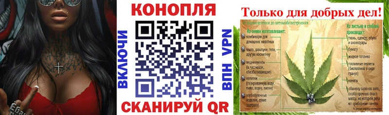 Шишки марихуана марихуана  Купить где  Великие Луки 